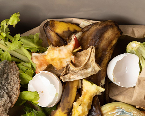 Food Waste