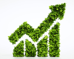 Organic company growth