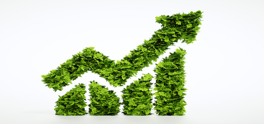 Croissance organique de l'entreprise