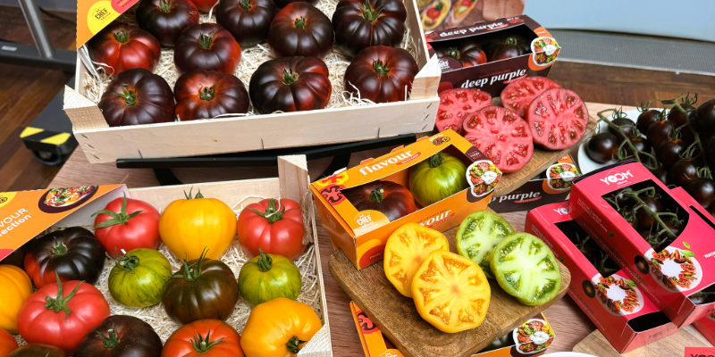 Fruit