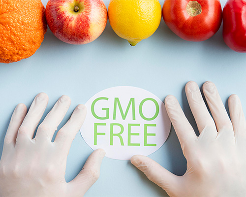GMO Frei