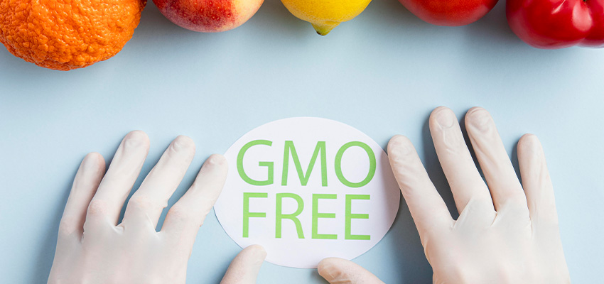 GMO Frei