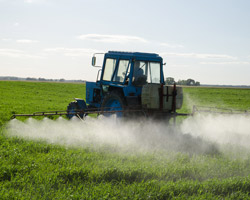 Pesticides sprayed