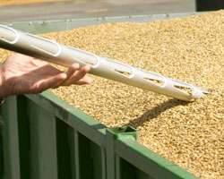 Grains