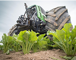 pesticide application