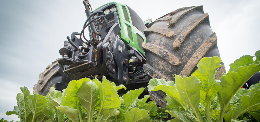 pesticide application