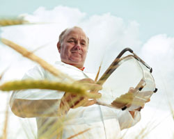 man in the field