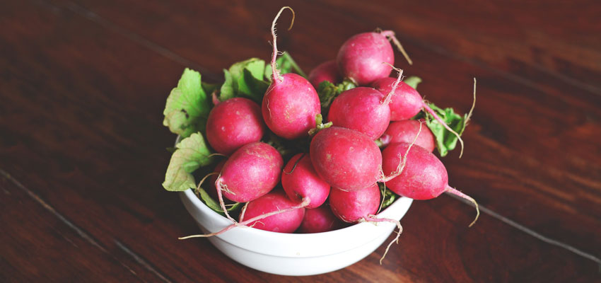 Radish