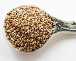 Sesame Seeds