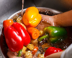 colorful vegetables